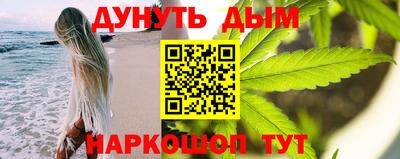 СК Кингисепп