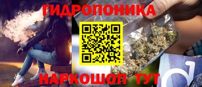 СК Кингисепп