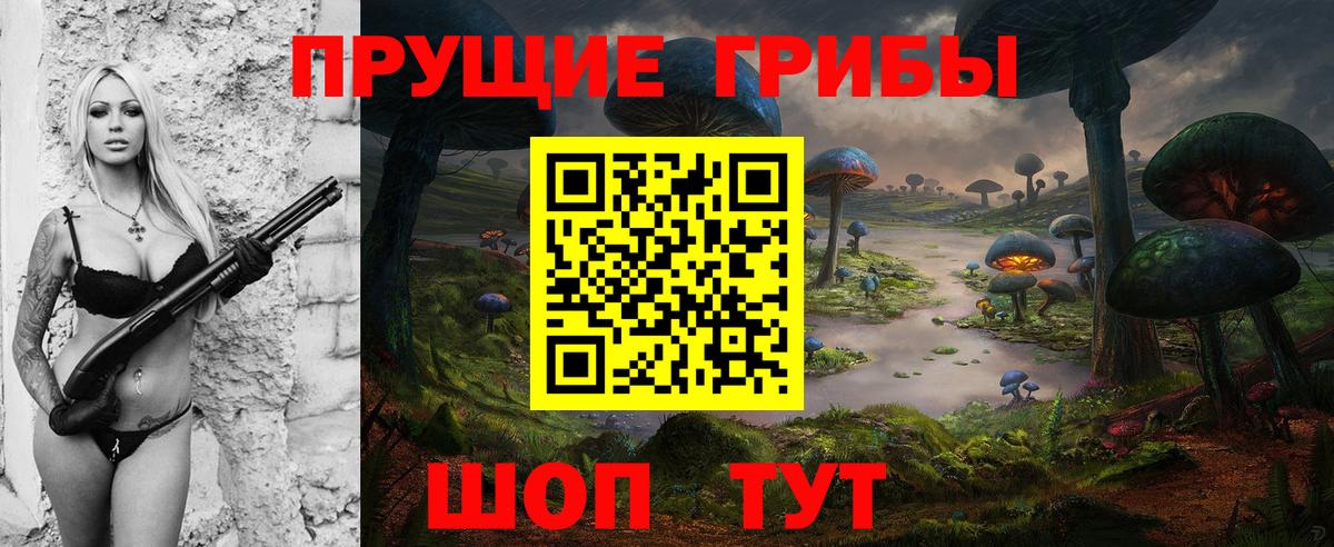 Коммунар  Псилоцибиновые грибы GOLDEN TEACHER  Вход с VPN  закладка  Галлюциногенные грибы мухоморы 